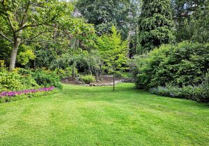 Optimiser l'expérience du jardin à Royaumeix